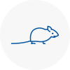 Mice Exterminators In Knaresborough